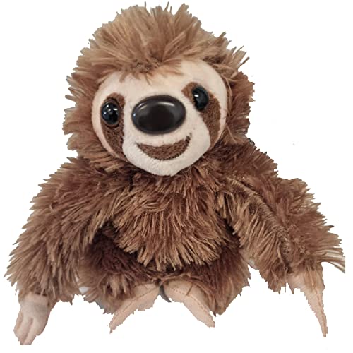 Sloth