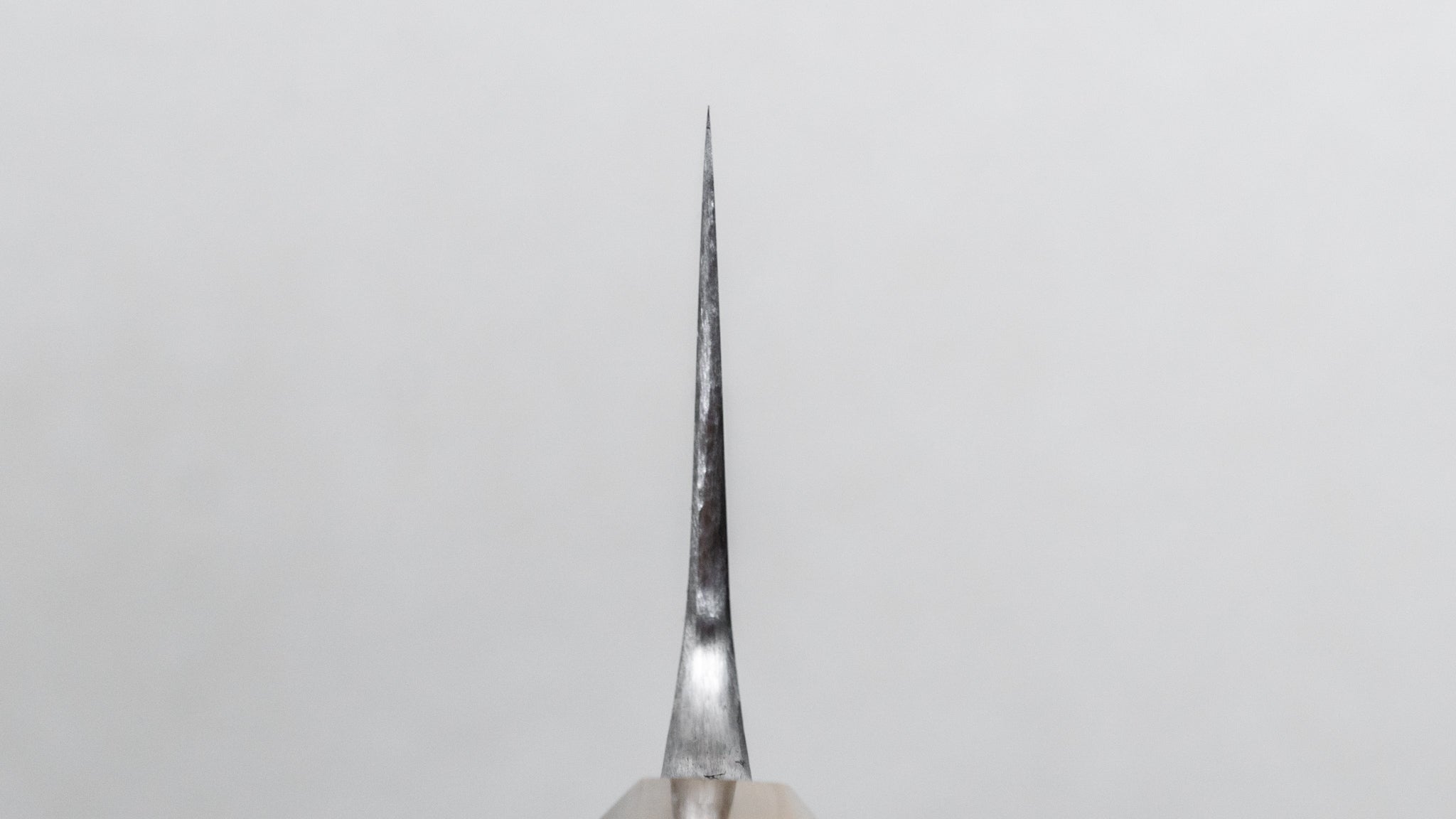 Premium Jiro Tsuchime Wa Gyuto 240mm Japanese Chef Knife with Taihei Tagayasan Handle - Perfect for Sushi, Meat Cutting & Professional Kitchen Use (#591)