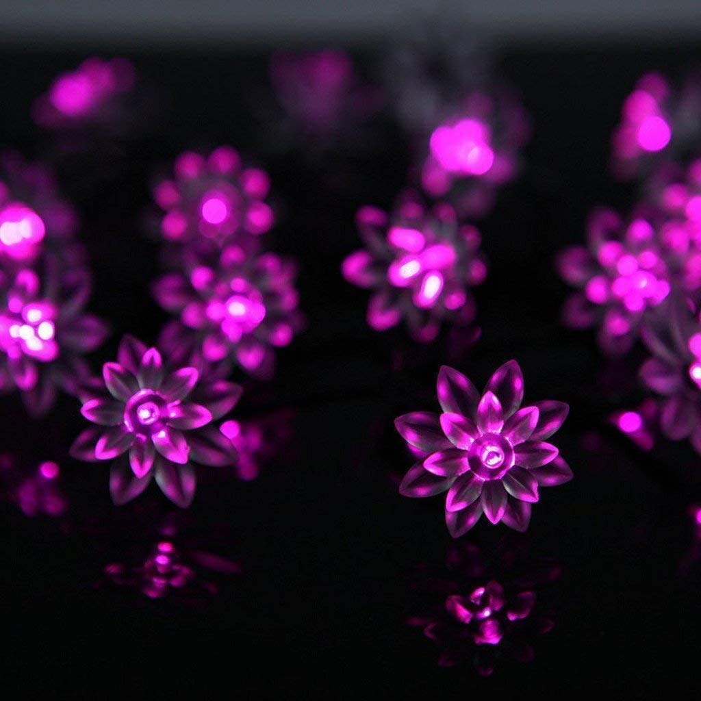 Solar Powered LED Lotus Flower String Lights - 21ft 50 LED Waterproof Outdoor Fairy Lights for Garden, Patio, Wedding & Christmas Decor (Pink) | Perfect for Backyard Parties, Holiday Lighting & Romantic Ambiance