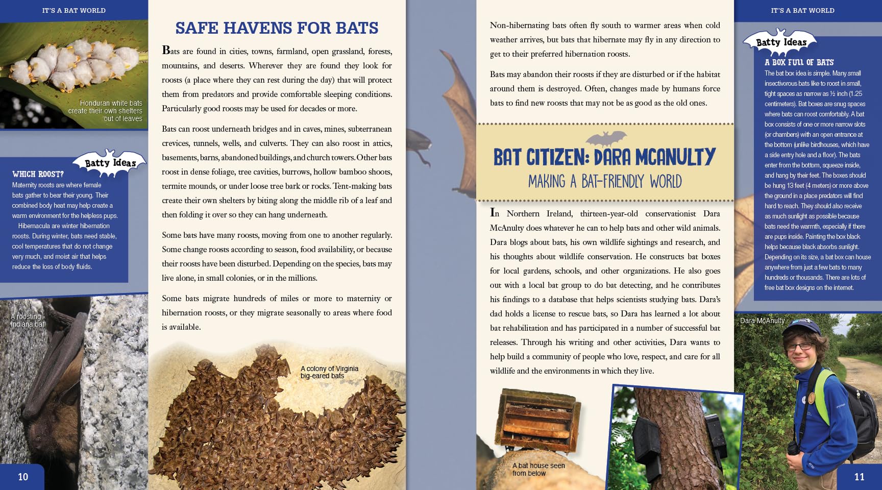 Bat Citizens: Defending the Ninjas of the Night - Book About Bat Conservation & Wildlife Protection | Perfect for Nature Lovers, Animal Activists & Eco-Friendly Gifts