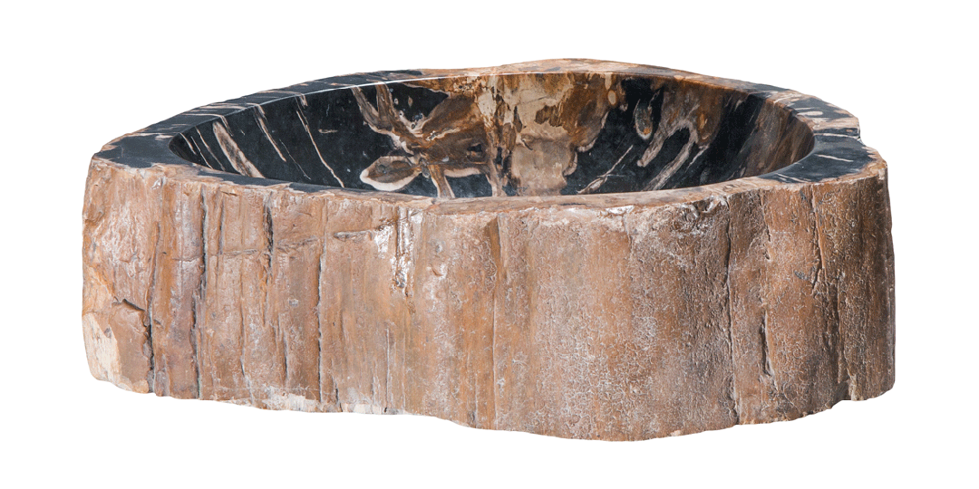 Natural Petrified Wood Bathroom Sink - 17