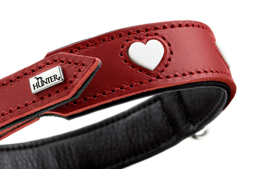 Alpen LOVE Dog Collars for Small & Medium Breeds - Adjustable, Durable & Stylish Pet Collar for Daily Walks & Outdoor Adventures