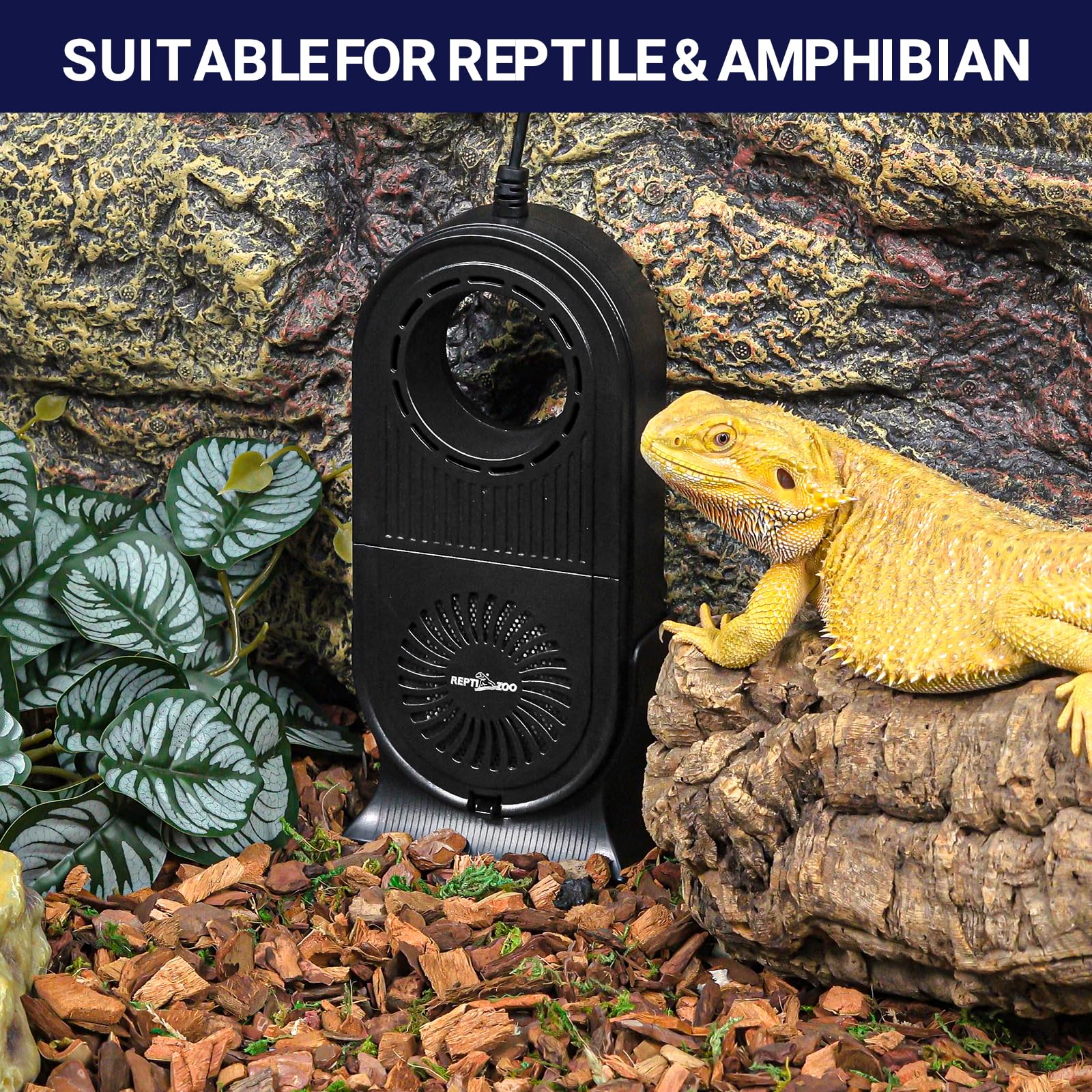 REPTI ZOO Reptile Glass Terrarium Air Purifier with Carbon Filter - Dehumidifier & Air Cleaner for Bearded Dragons, Lizards, Turtles, Snakes - Perfect for Reptile Habitats & Terrarium Maintenance