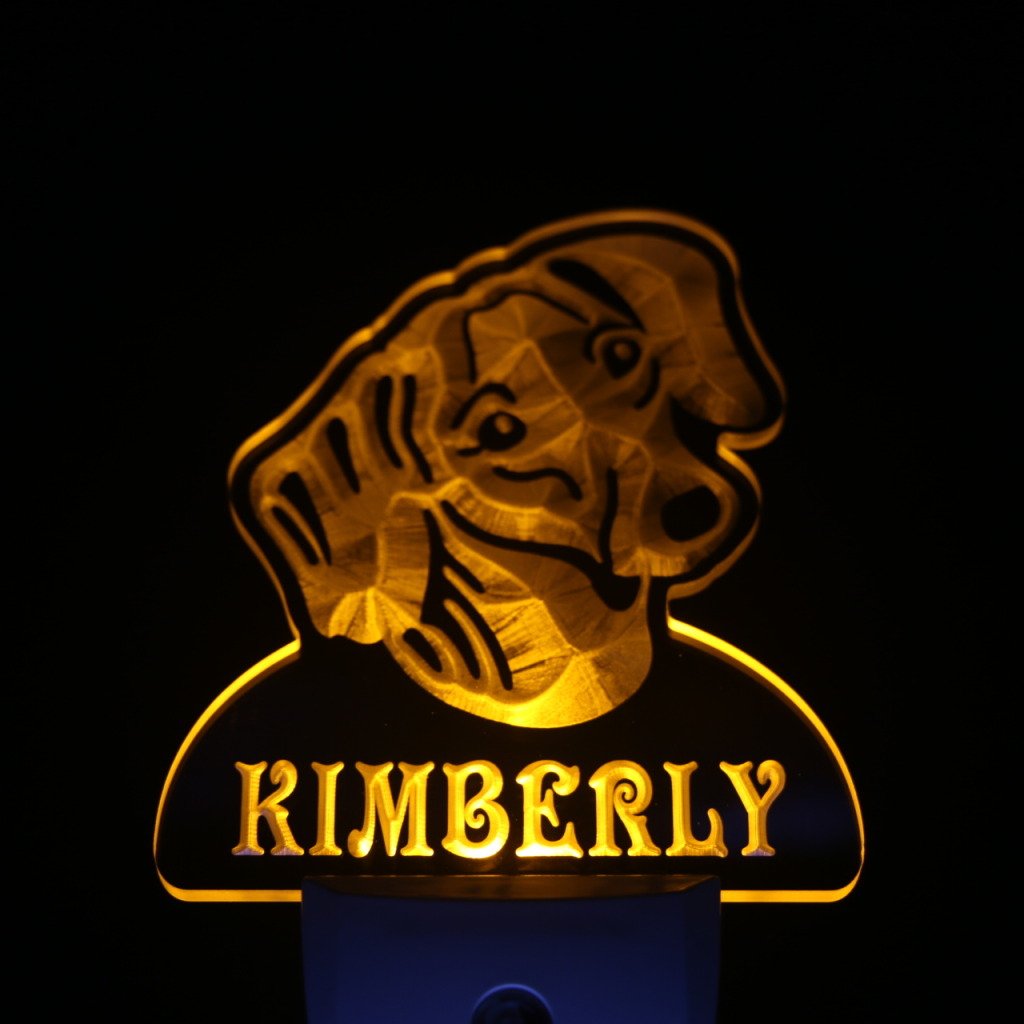ADVPRO ws1065-tm Personalized Dachshund Dog Night Light with Name - LED Pet Sign with Day/Night Sensor - Perfect for Bedroom, Nursery & Pet Lover Gifts