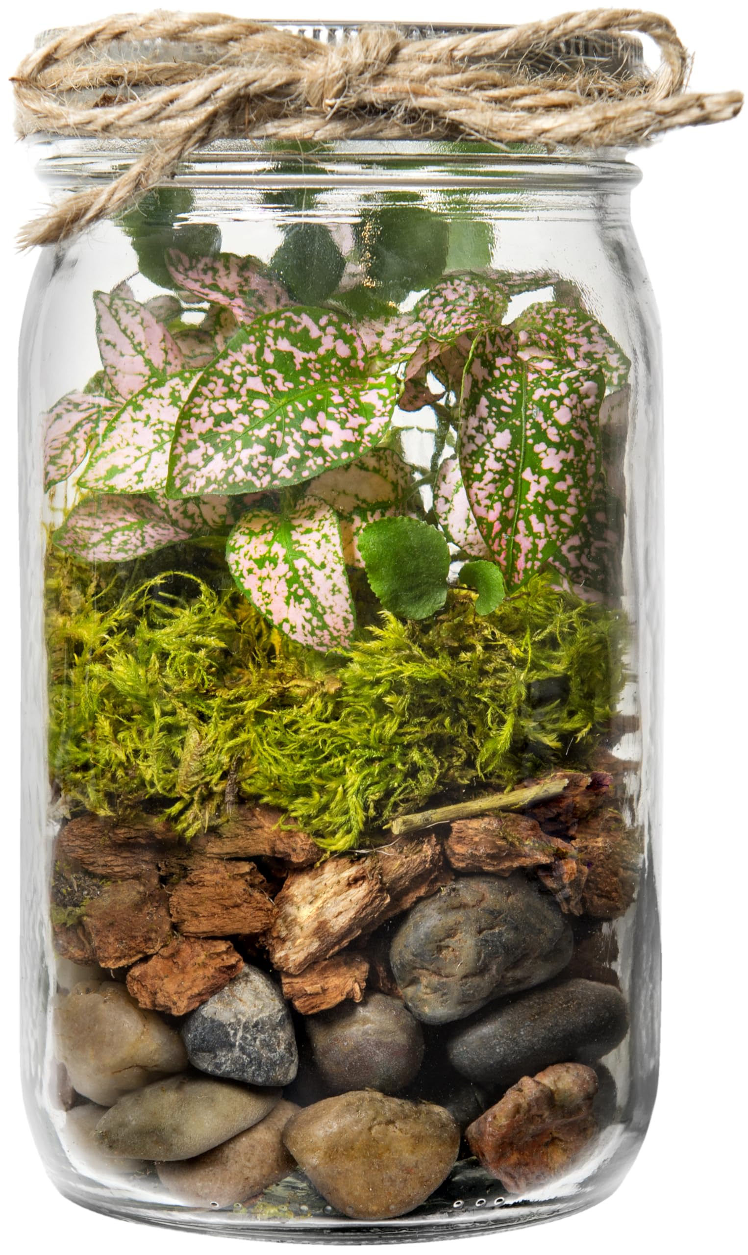 DIY Mason Jar Terrarium Kit - Create Your Own Mini Garden in a Glass Jar | Perfect for Home Decor, Office Desk & Gift Ideas