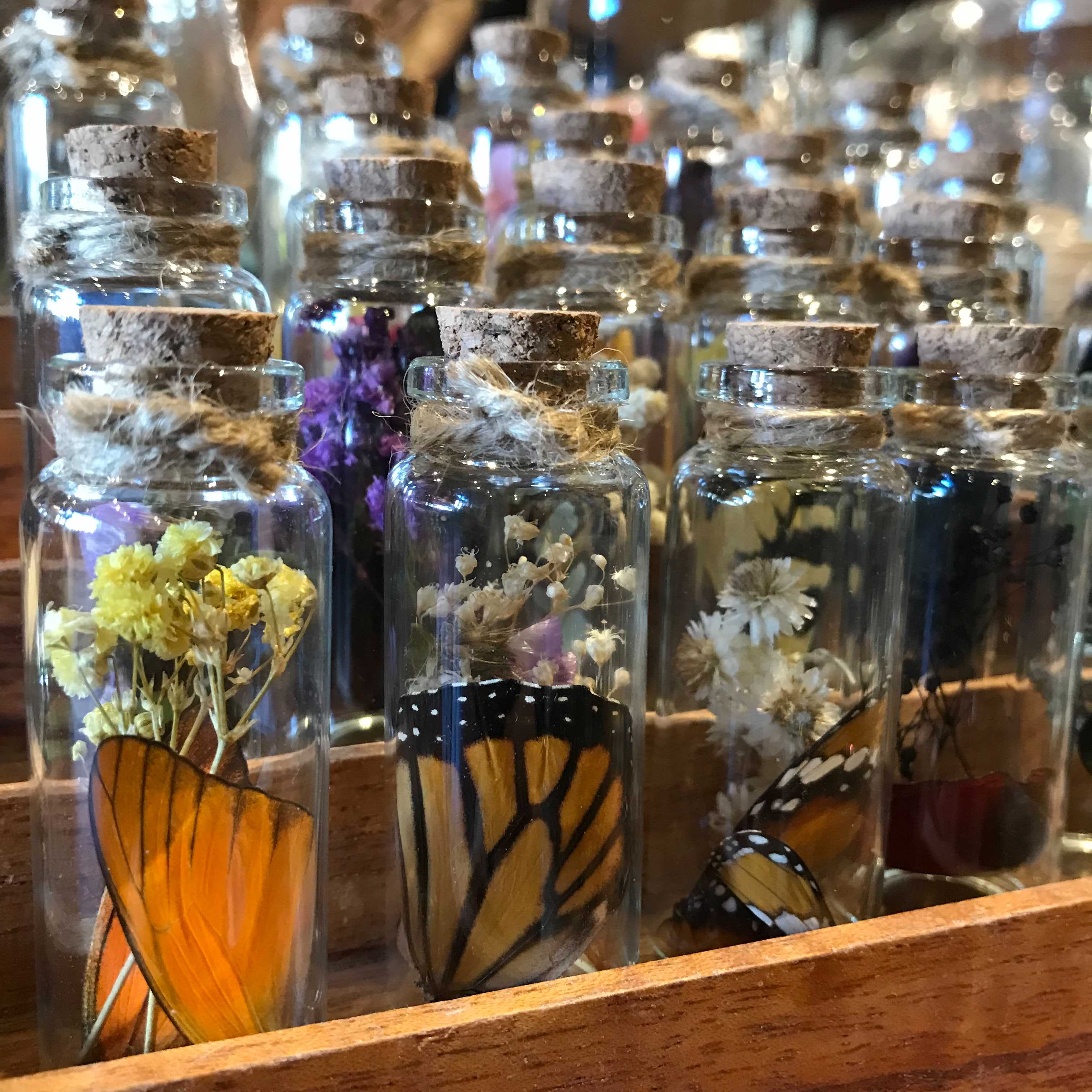 Butterfly Wing in Glass Bottle - Unique Decorative Collectible for Home, Office & Gift Giving - Perfect for Nature Lovers & Science Enthusiasts