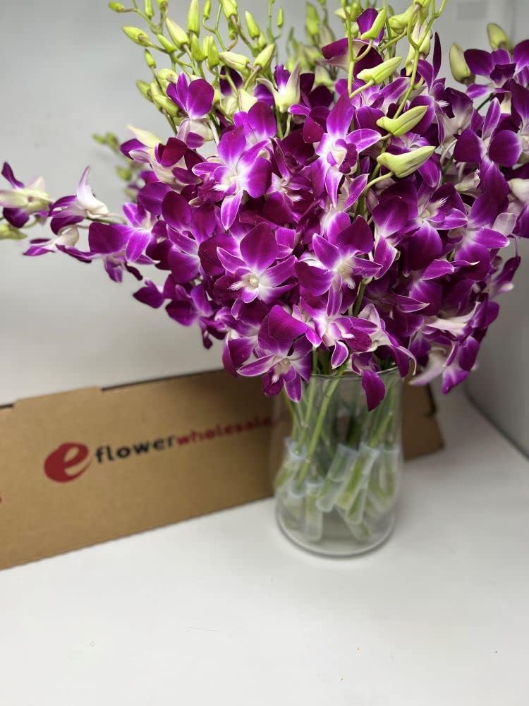 Premium Cut Purple Orchids - 30 Stems with Glass Vase - Fresh Long-Lasting Flowers for Home Decor, Wedding Centerpieces & Gift Giving - Support Small Business