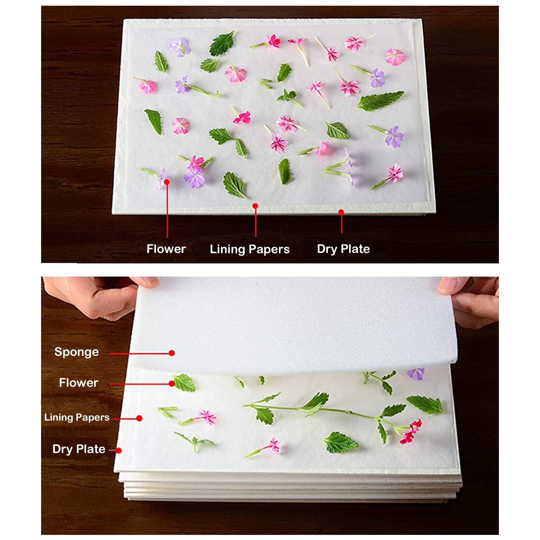 Cayway Mini Flower Press Kit - 5.9 x 5.9 Inch DIY Botanical Press for Flowers, Leaves & Plants | Includes Scissors & Tweezers | Perfect for Pressed Flower Art, Scrapbooking & Nature Crafts