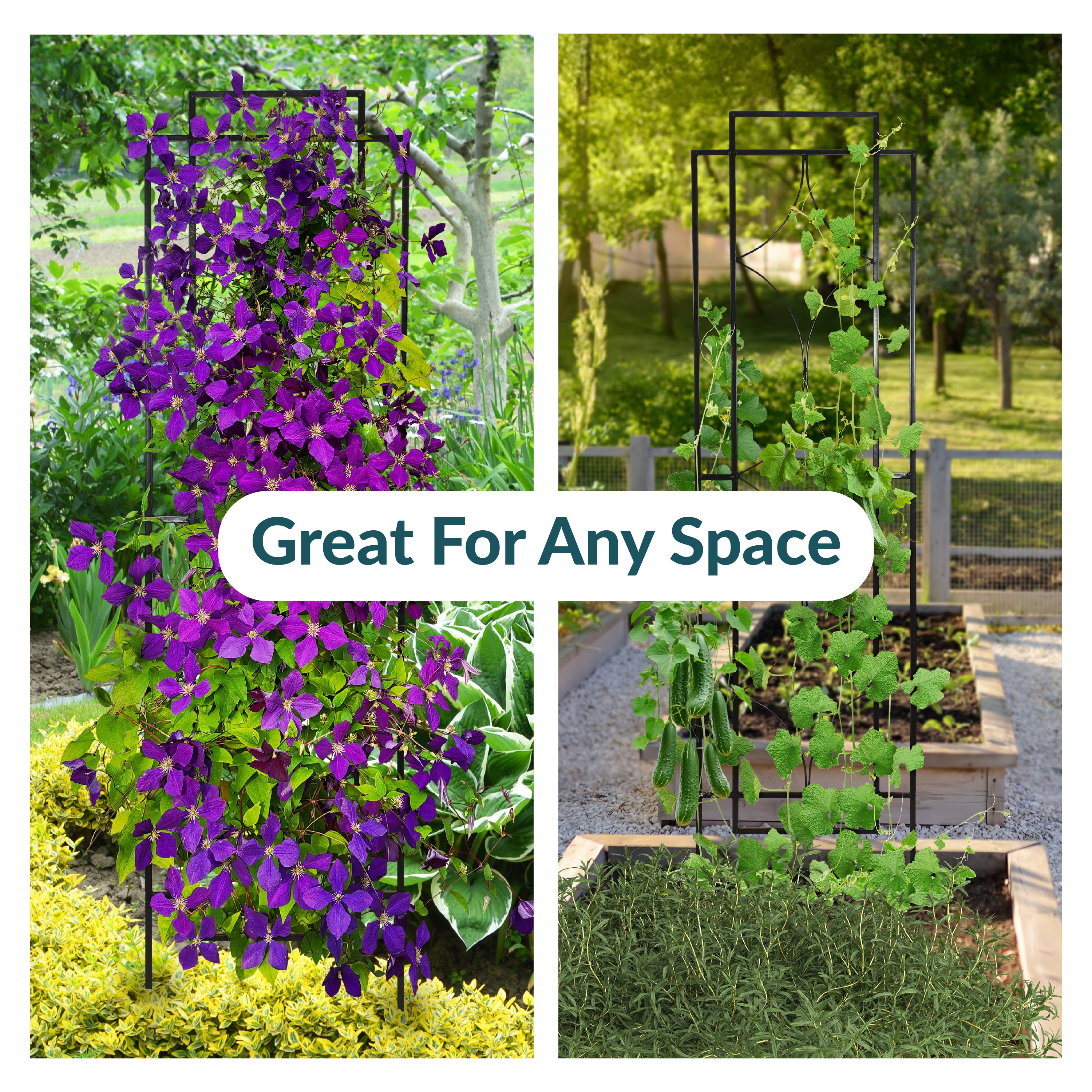 Sunnydaze 2-Piece Chic Diamond Trellis for Climbing Plants - Elegant Garden Support for Roses, Vines & Flowers - Perfect for Outdoor Gardens, Patios & Backyard Decor