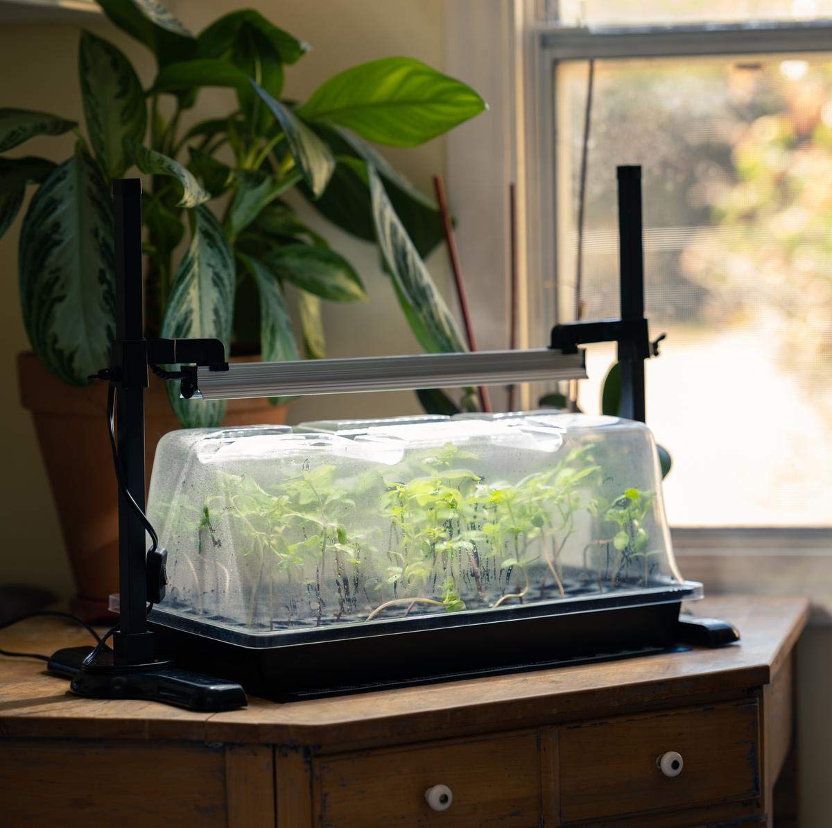 SunBlaster SL1611208 LED Mini Greenhouse Kit with Stand, Heat Mat & Timer - Indoor Herb Garden Starter Set for Home Planting, Seed Starting & Plant Propagation