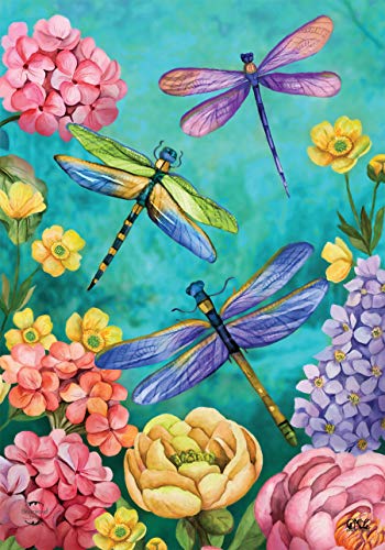 05 - Dragonfly Garden