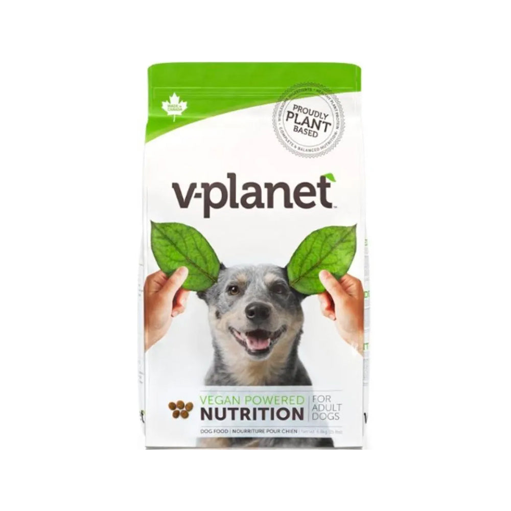 Premium Vegan Dry Dog Food for Adult Dogs - High Protein, Grain-Free, All-Natural Ingredients - Ideal for Sensitive Stomachs & Eco-Conscious Pet Owners