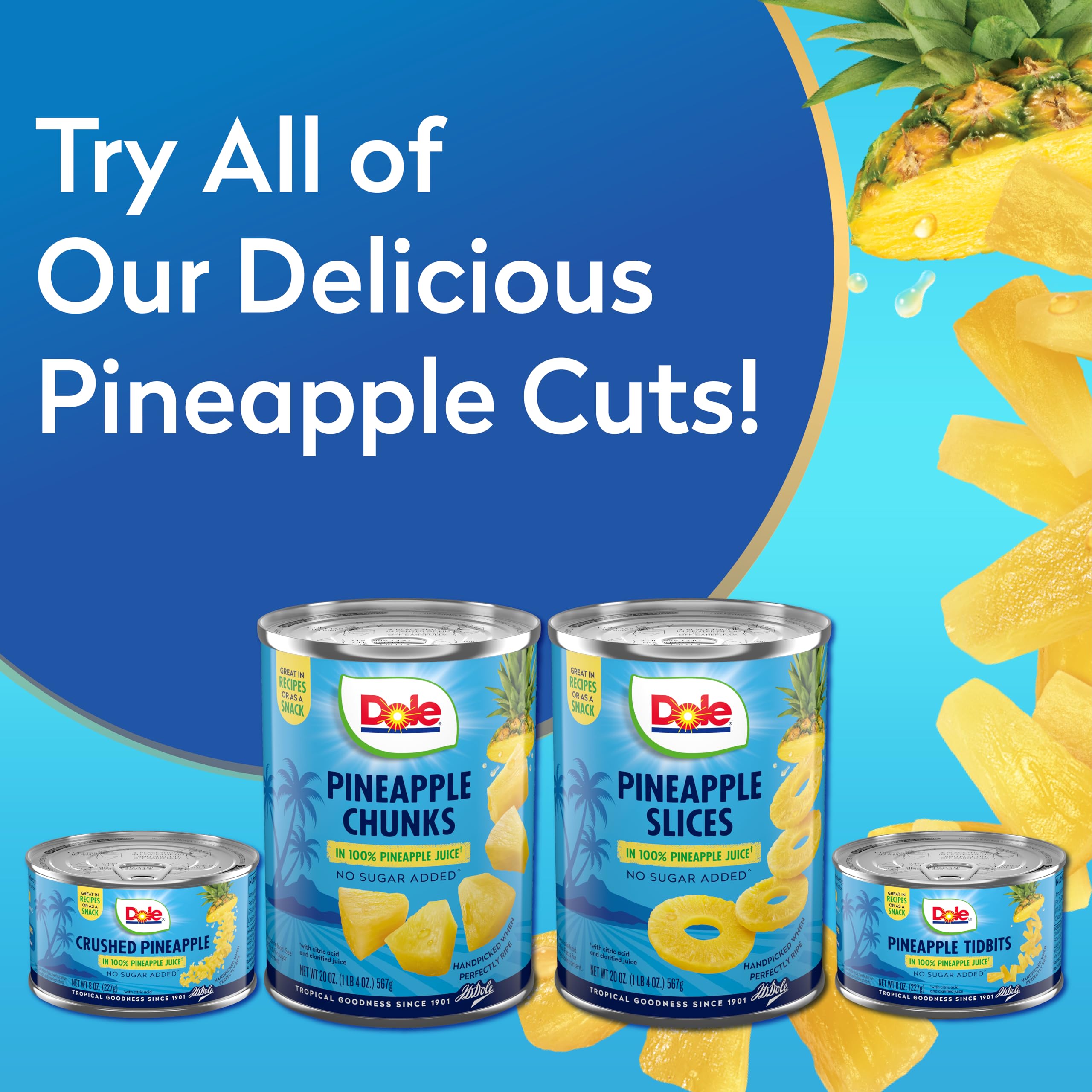 Dole Canned Pineapple Tidbits in 100% Pineapple Juice - Gluten Free, 20 Oz (Packaging May Vary) - Perfect for Smoothies, Baking & Pantry Staples