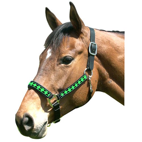 Diamond Leather Horse Halter - Padded Nose for Comfort & Training