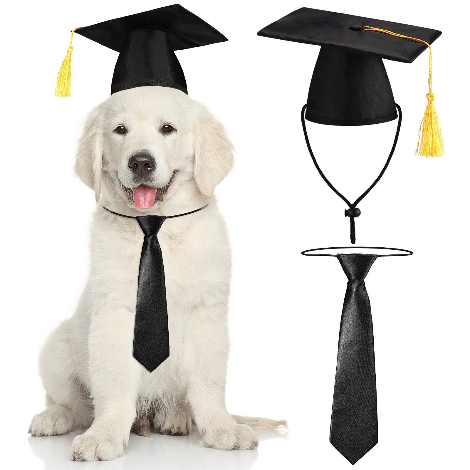 4-Piece Pet Graduation Outfit Set - 2 Dog Graduation Caps & 2 Neckties - Formal Pet Costume for Graduation Photos - Perfect for Dogs & Cats (Black) - Great for Graduation Ceremonies, Photo Shoots & Special Occasions