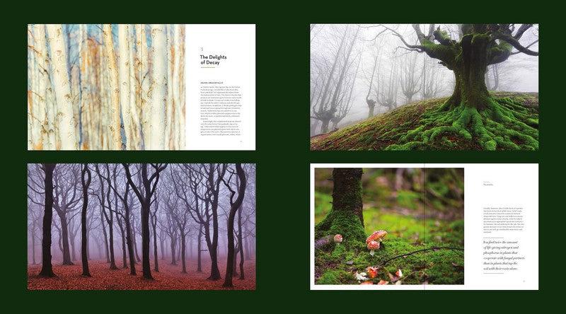 The Hidden Life of Trees: Illustrated Edition - Discover the Secret World of Forests | Perfect for Nature Lovers, Book Clubs & Educational Use