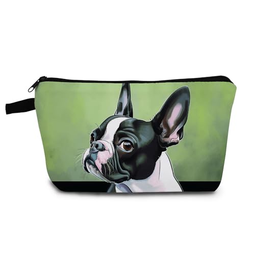 Boston Terrier 01