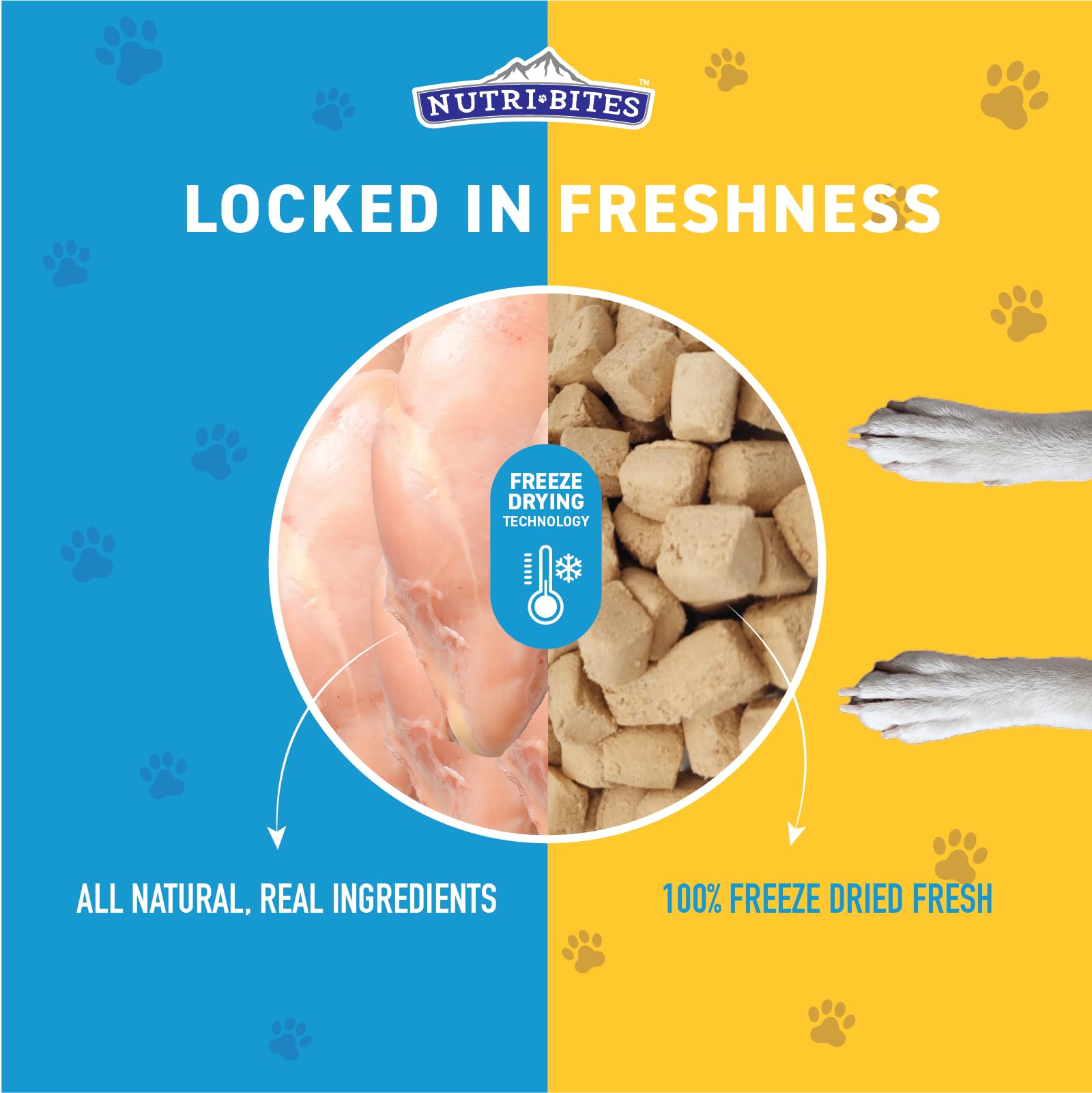 NutriBites Freeze Dried Chicken Dog & Cat Treats - 15oz (425g) | All-Natural Single Protein Training Treats & Food Topper | High Protein, Grain-Free Pet Snacks for Dogs & Cats | Perfect for Training, Rewards & Mealtime Boosting