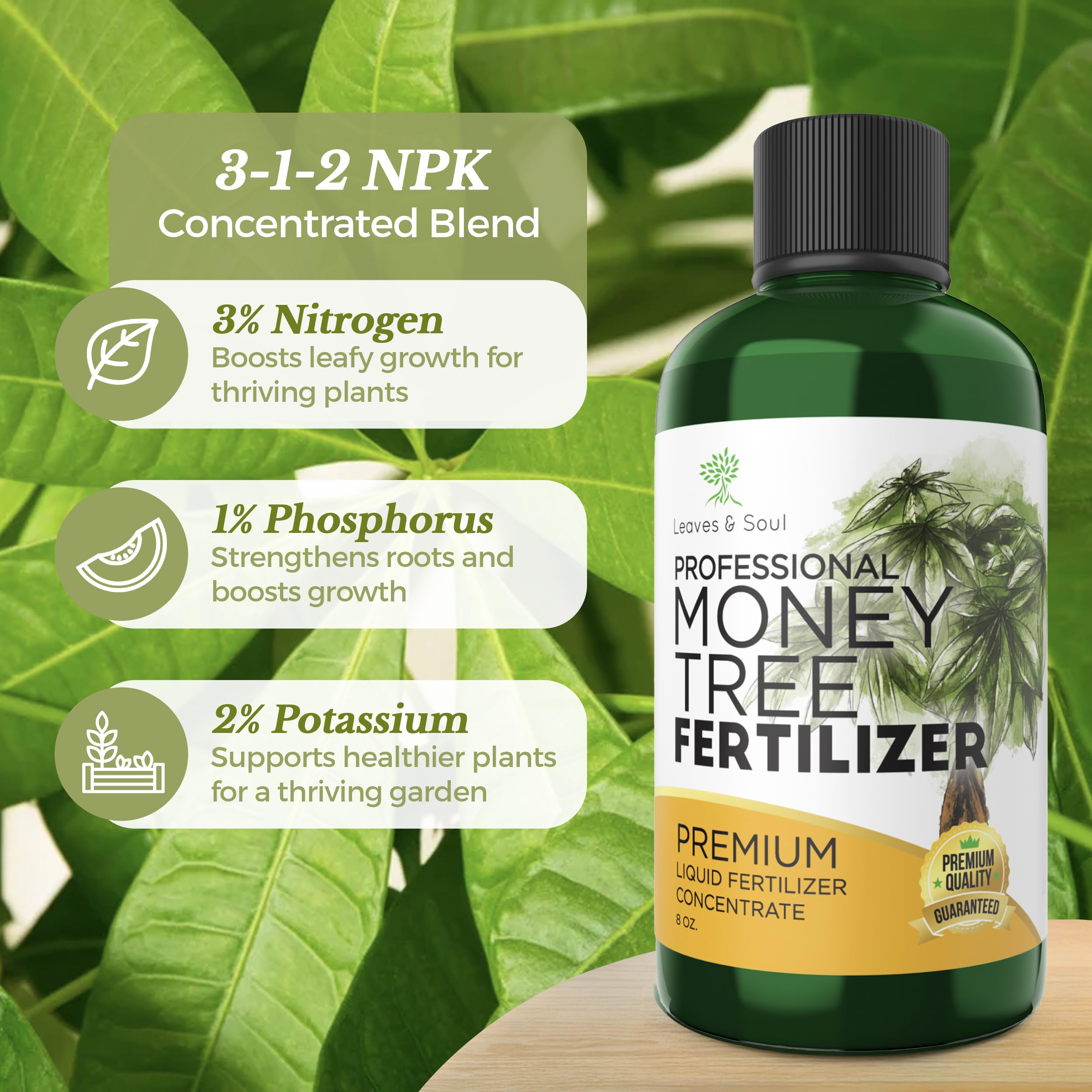 Premium Liquid Money Tree Fertilizer 3-1-2 Concentrate - All-Purpose Plant Food for Indoor & Outdoor Plants, Flowers, Trees - 8oz Bottle Gardening Supplies - Perfect for Home, Office, and Garden Use