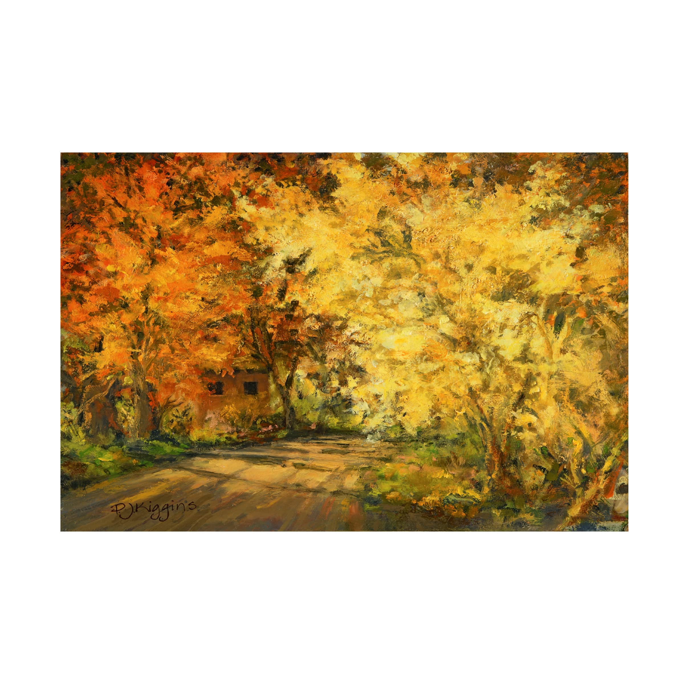 Debbie Kiggins 'Canyon Road' Landscape Canvas Wall Art Print - Modern Home Decor for Living Room, Bedroom & Office