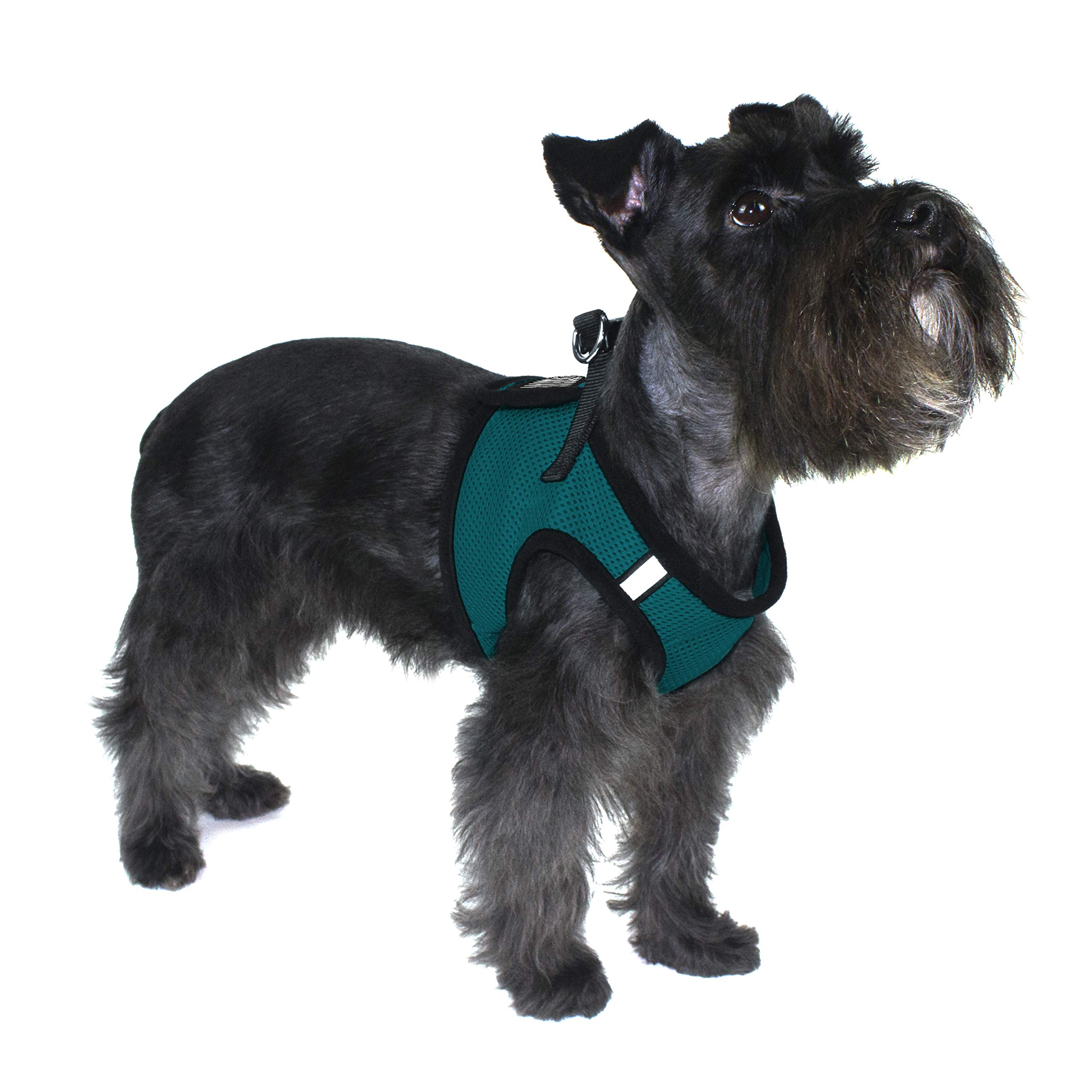 Dogline Boston Step-in Mesh Dog Harness with 'Service Dog Do Not Pet' Patch - No-Choke Soft Padded Vest for Small, Medium & Large Dogs (27-31in Girth) - Gentle Chest Support for Walking, Training & Outdoor Adventures - Dark Teal