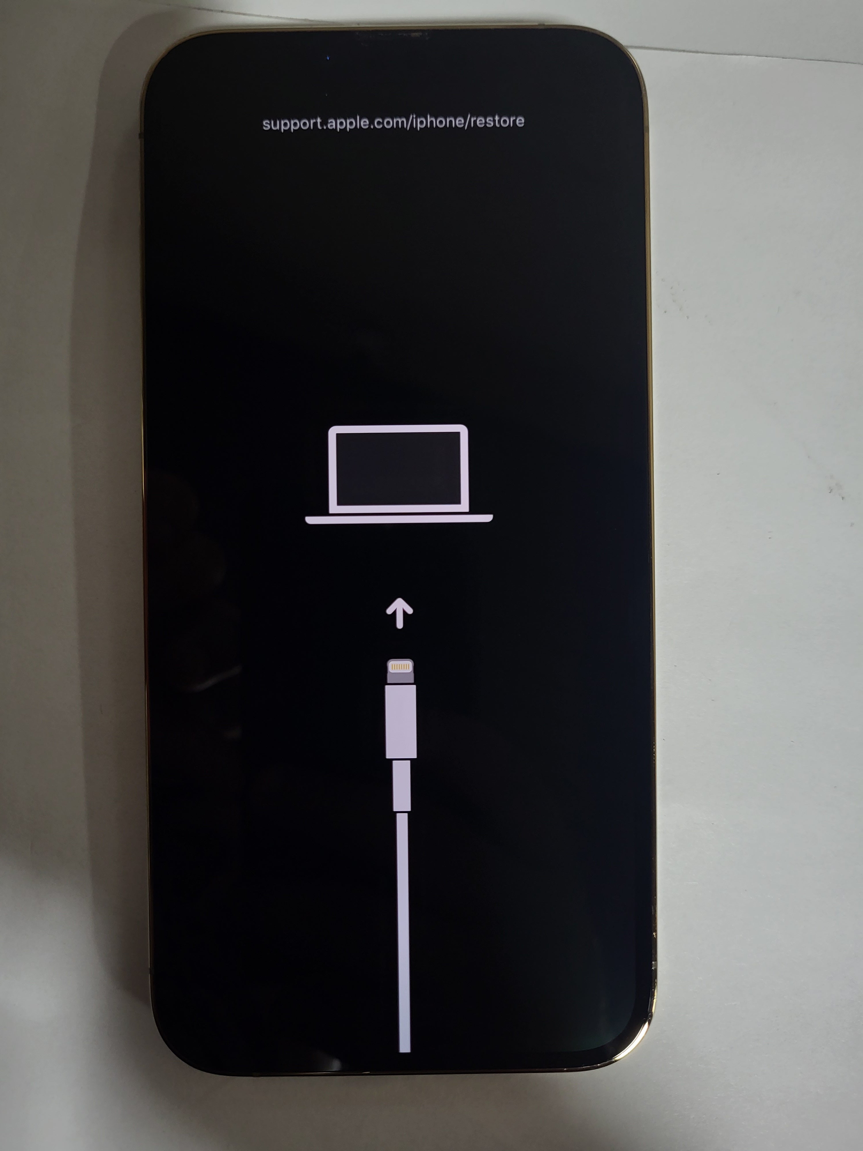 iPhone 13 Pro Max 1TB Unlocked Smartphone - 6.7