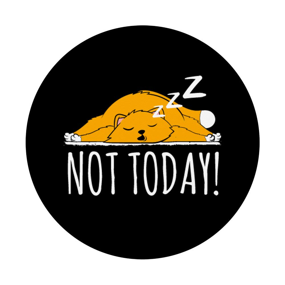 Funny Cat Design PopSockets Swappable PopGrip - Cute 'Not Today' Cat Phone Grip & Stand for iPhone, Samsung | Perfect Gift for Cat Lovers, Office Desk & Car Use