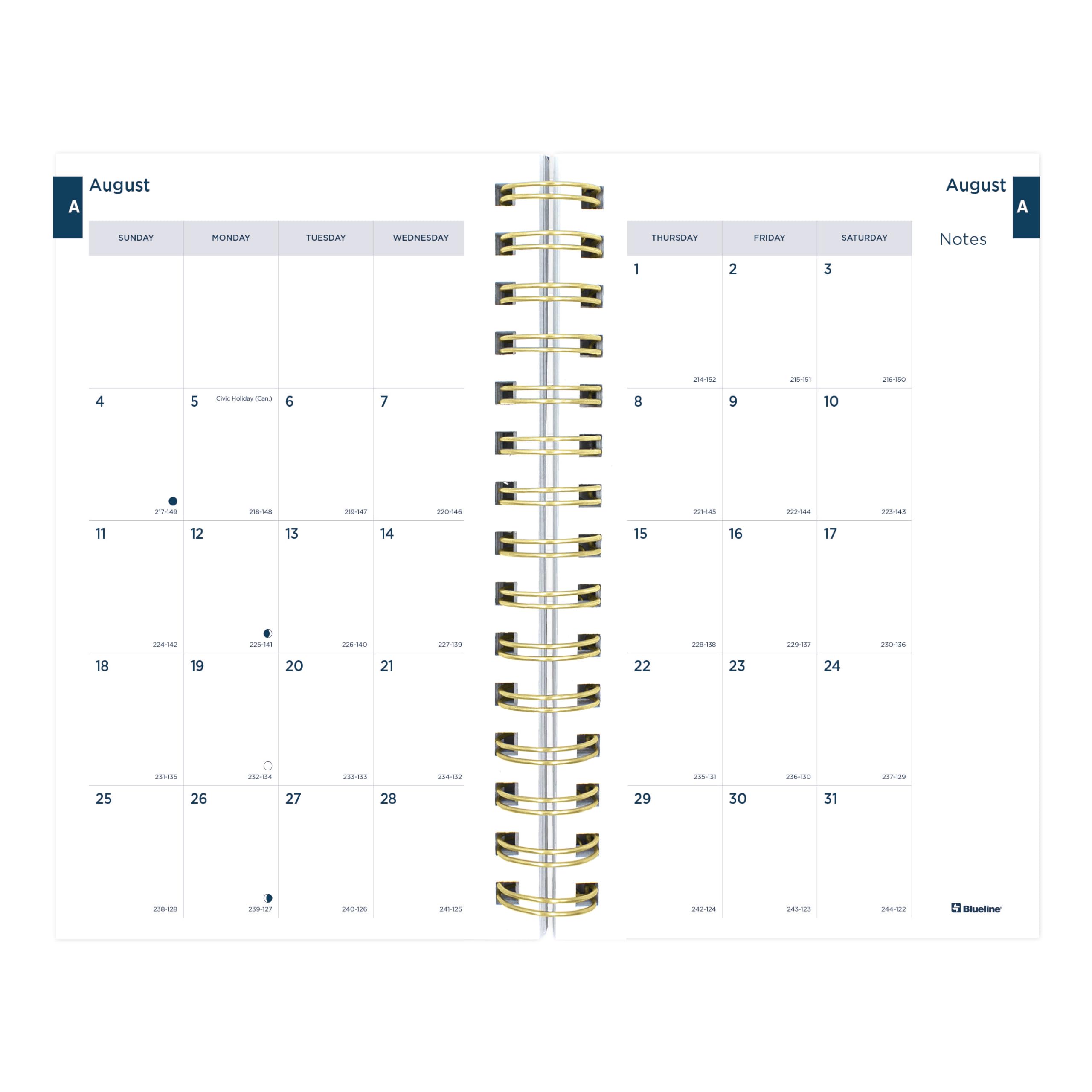 Blueline® 2024-2025 Academic Planner - August 2024 to July 2025 Gold Twin-Wire Bound Daily Monthly Planner with Poly Cover, 8
