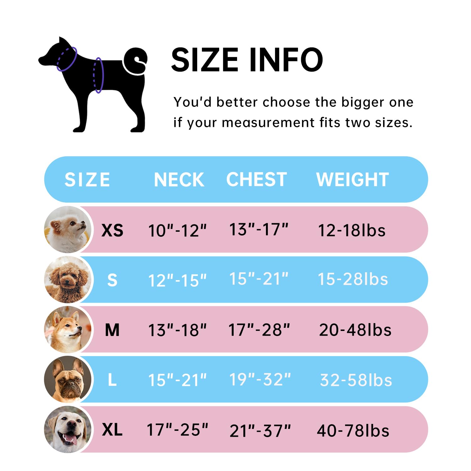 No Pull Dog Harness for Small Dogs - Adjustable Pet Vest with Leash, Safety Belt & Storage Strap - 360° Reflective Strips & Soft Handle (Blue, S) - Perfect for Walking, Training & Outdoor Adventures