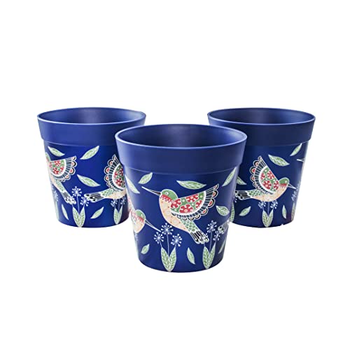 Blue Hummingbirds