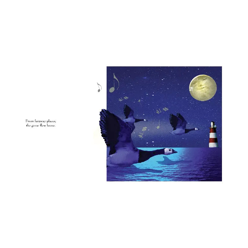 On The Night You Were Born by Nancy Tillman - Heartwarming Baby Book for Newborns, Baby Showers & Bedtime Stories - Perfect Gift for Parents & Grandparents