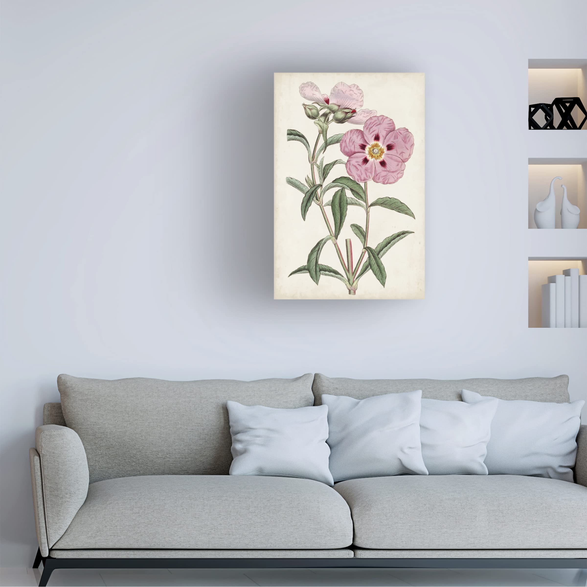 Trademark Fine Art 'Garden Gems VII' Canvas Wall Art Print by Curtis - Perfect for Living Room, Bedroom & Office Decor