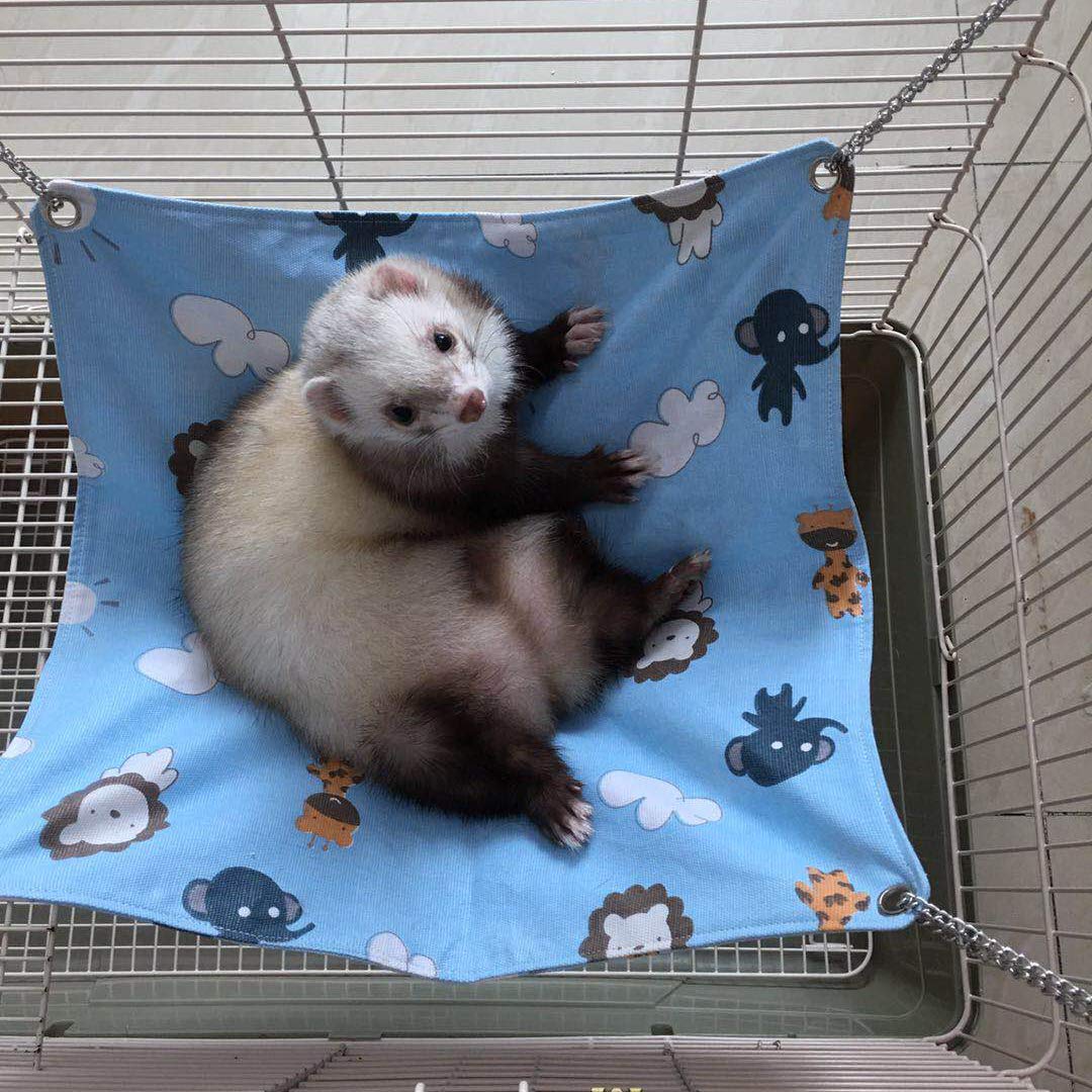 Handmade Ferret & Cat Hammock Bed - Soft Canvas Hanging Bed for Small Pets (Kittens, Guinea Pigs, Rabbits, Rats) - Cozy Sleep & Rest Mat for Cages - Perfect for Indoor Napping & Play Areas