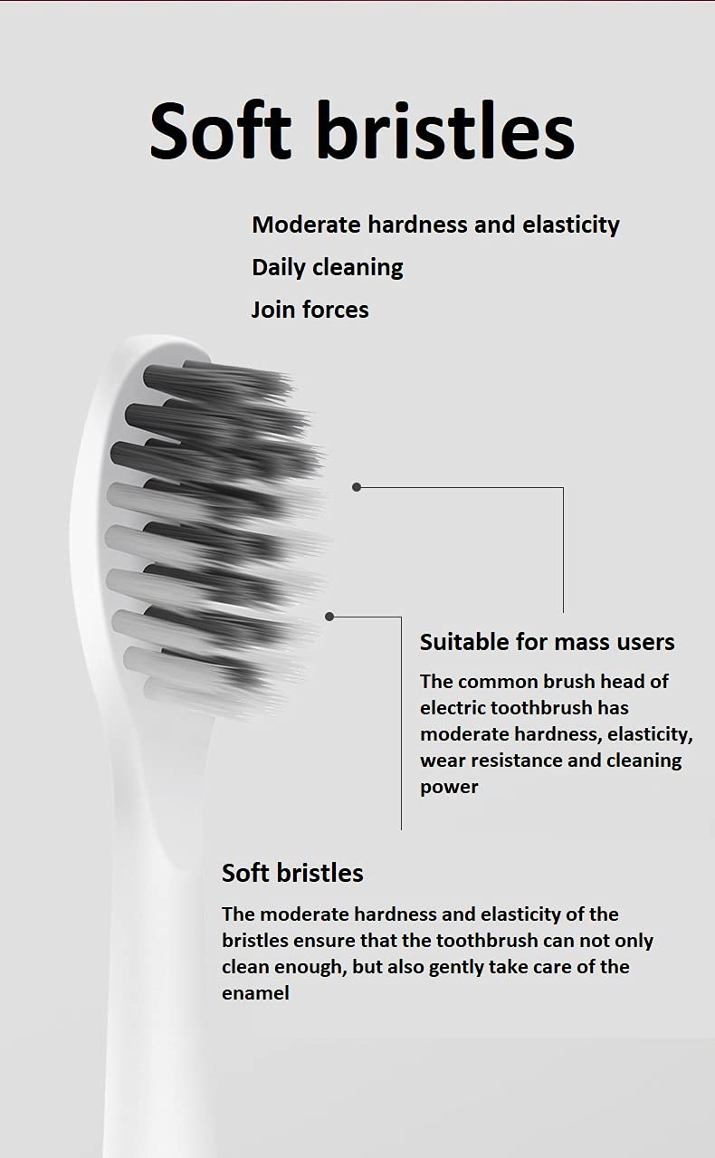 Sonic Electric Toothbrush with Soft Bristles - Battery Powered, Portable Travel Toothbrush for Couples - Includes 2 Replacement Brush Heads (3 Colors) - Perfect for Home, Travel & Daily Oral Care