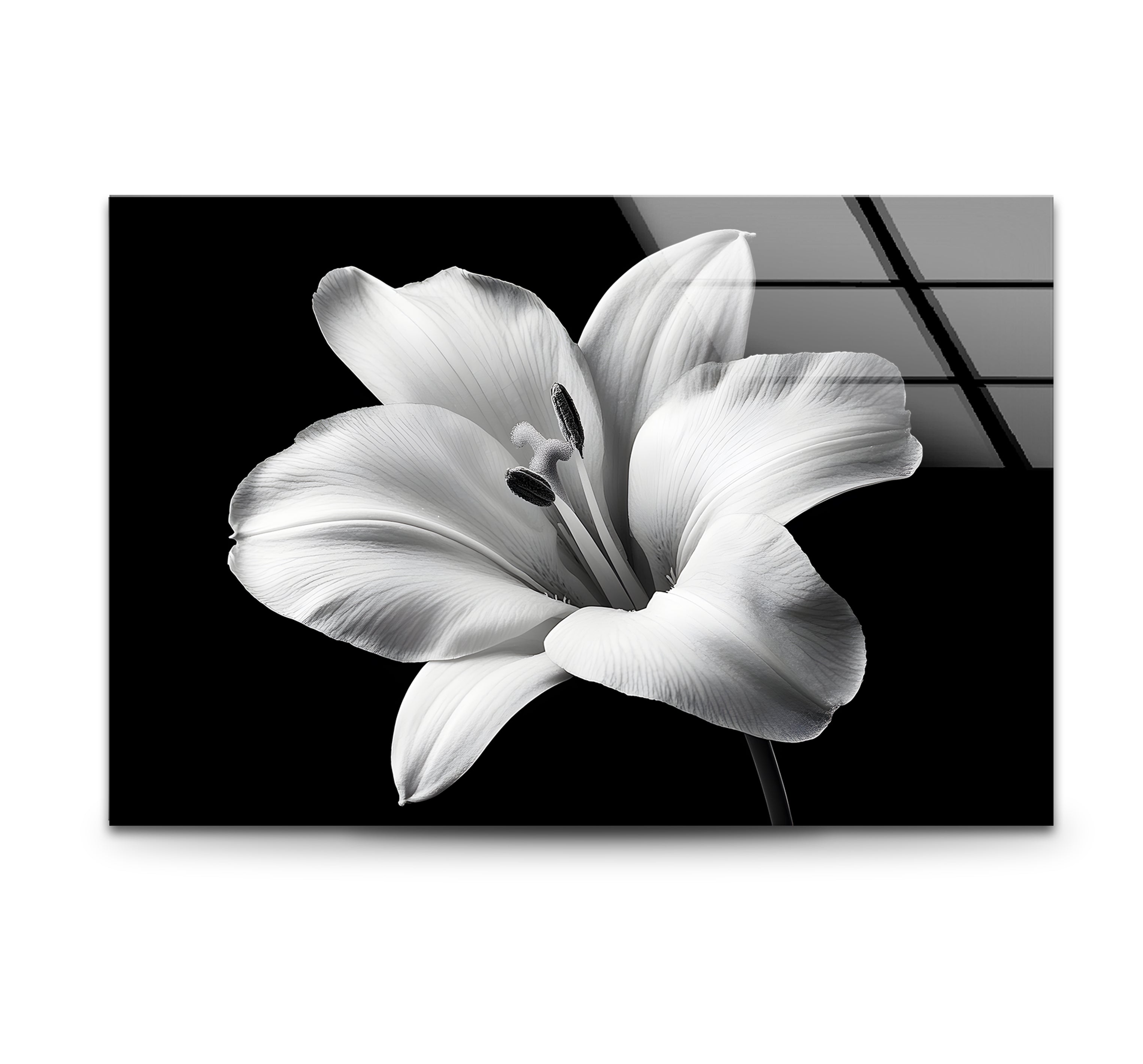 Elegant Black and White Lily Flower Glass Wall Art - Modern Home Decor for Living Room, Bedroom & Office - Perfect Gift for Housewarming, Wedding & Anniversary