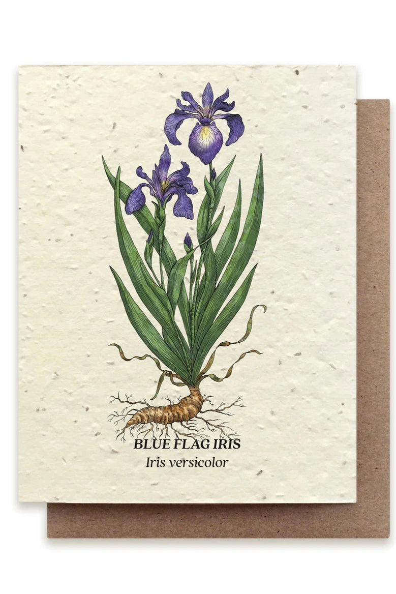 Blue Flag Iris Seeded Plantable Greeting Card - Eco-Friendly Stationery for Birthdays, Weddings & Special Occasions