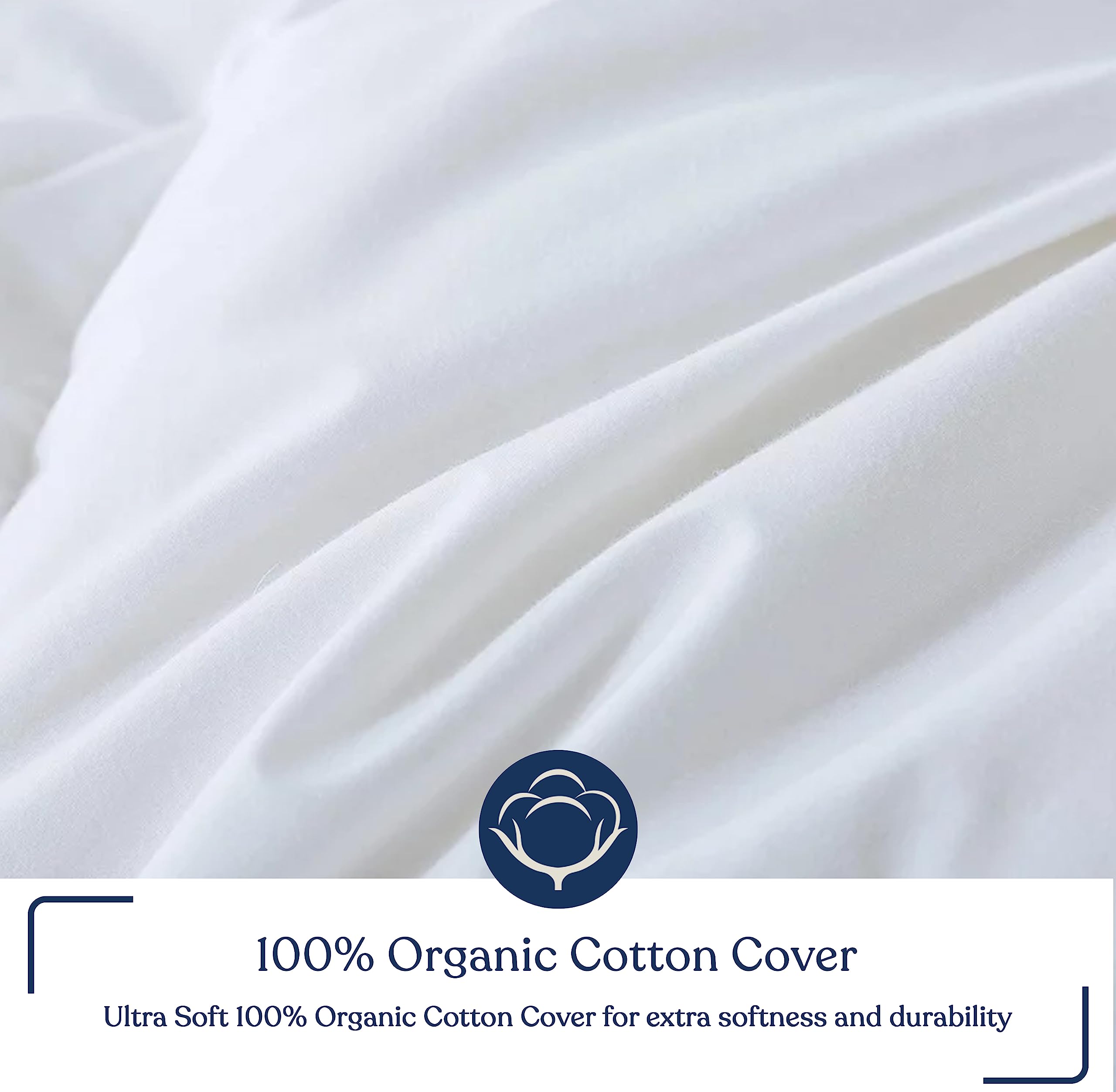 Organic Merino Wool Comforter Queen Size - GOTS Certified 100% Cotton Shell, 200 GSM All-Season Warmth - Ultra Soft Duvet Insert for Bedroom, Guest Room & Cozy Home Decor