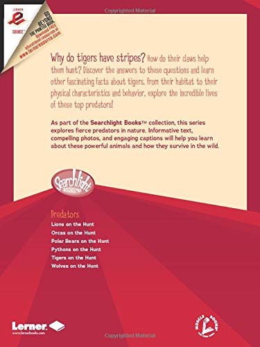 Tigers on the Hunt: Predator Behavior Book for Kids | Searchlight Books™ | Wildlife Education & Classroom Learning Resource