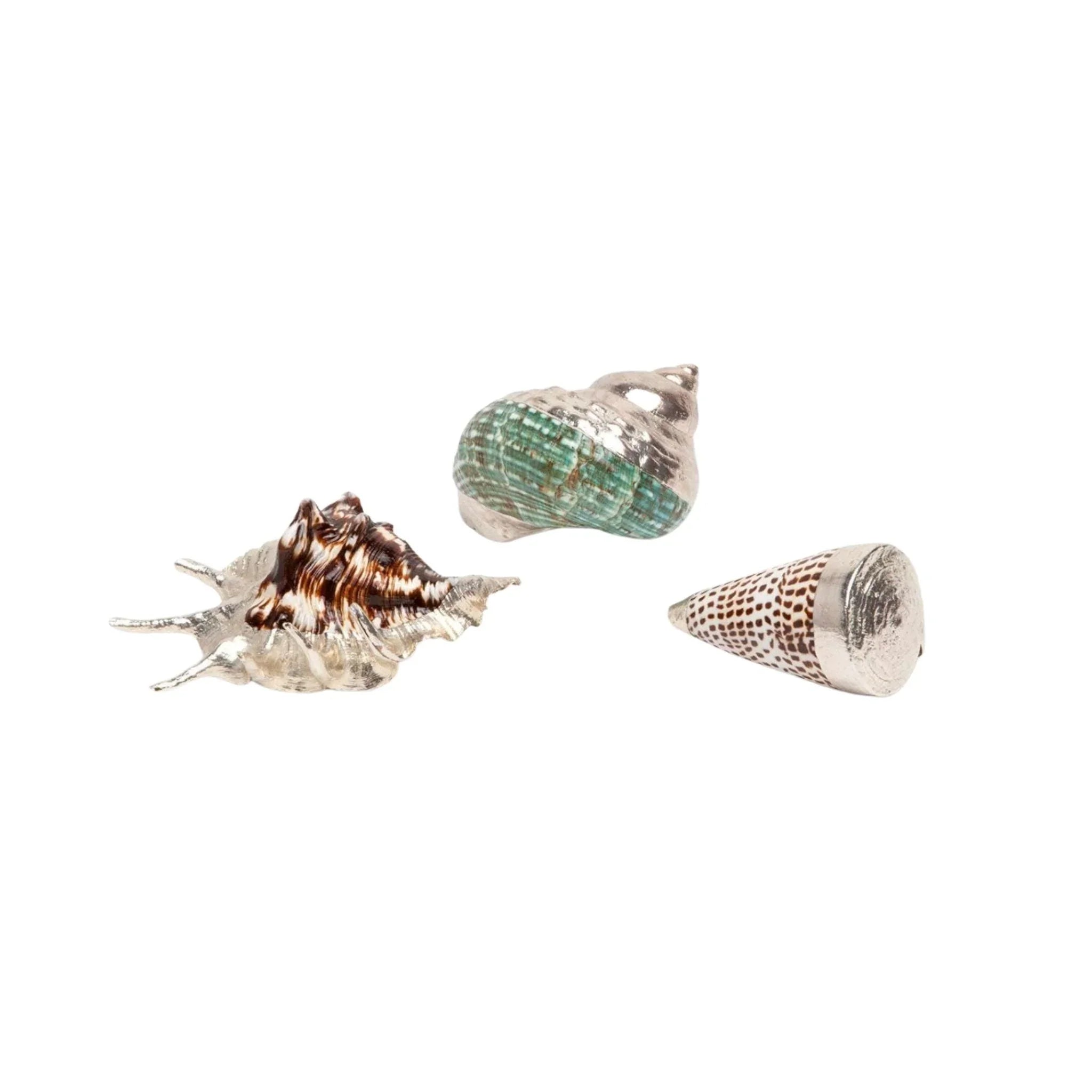Natural Mixed Seashells for Home Decor, Crafts & Beach-Themed Parties – Bulk Decorative Shell Assortment