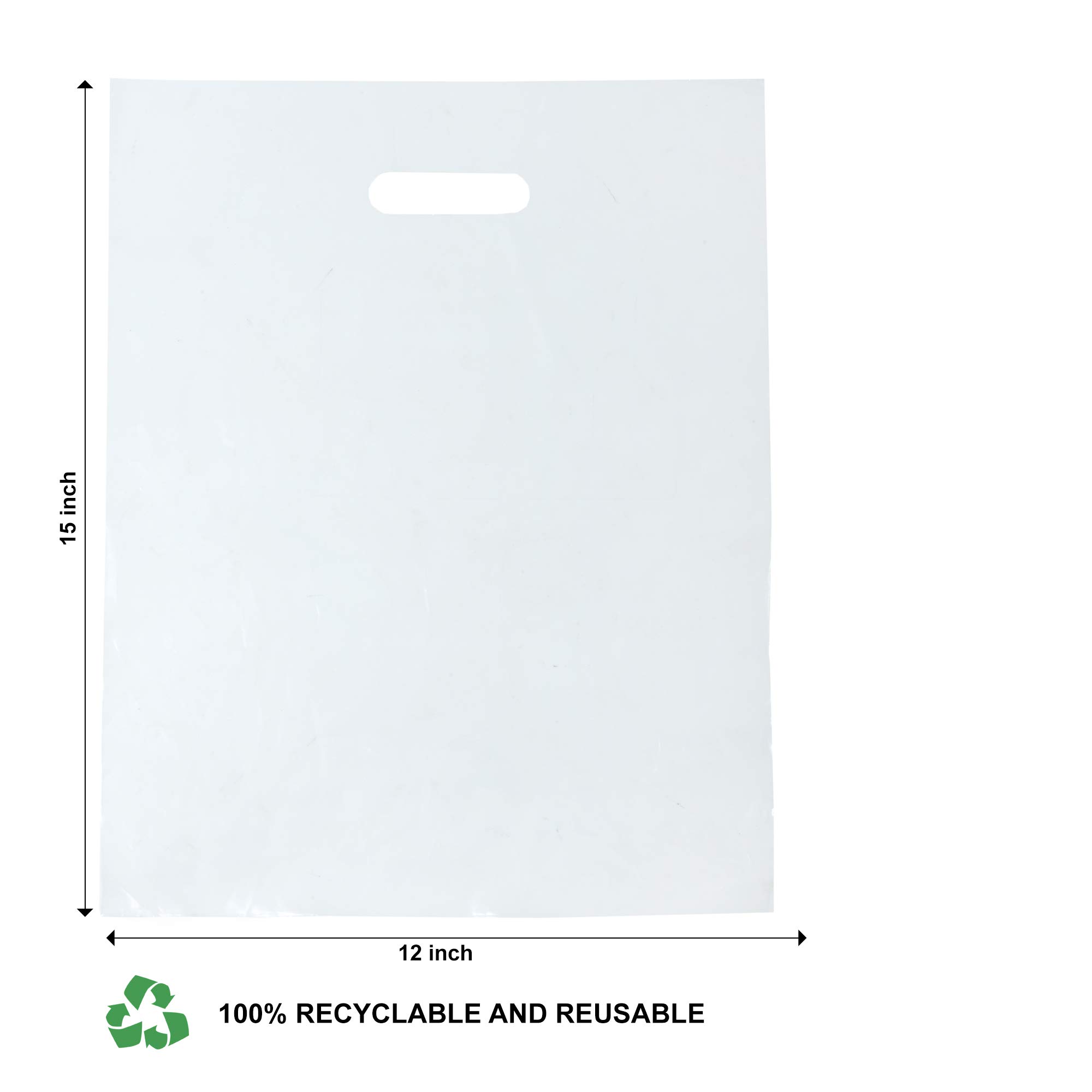 1000 Clear Plastic Bags with Handles 12