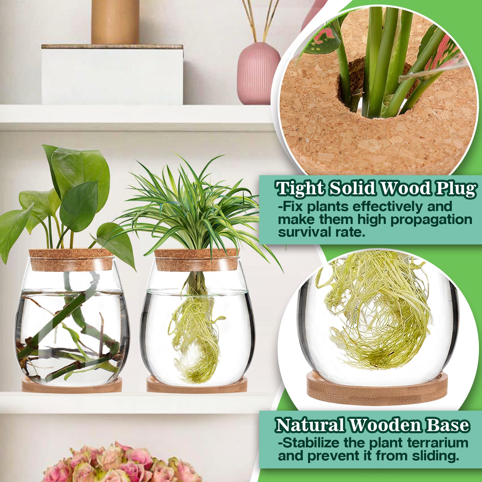 2-Pack Glass Hydroponic Propagation Station - Water Drop Shaped Plant Terrarium with Separated Tray, Indoor Gardening Gifts for Women & Plant Lovers - Perfect for Windowsill Decor, Herb Growing, and Home Office Plant Propagation