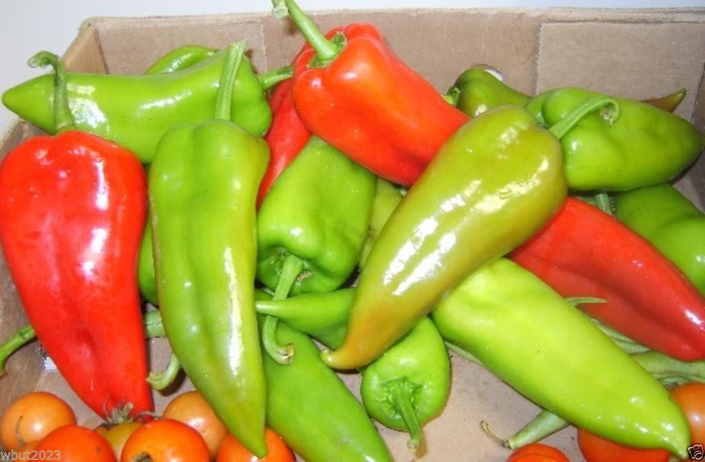 Organic Chervena Chushka Sweet Pepper Seeds - Heirloom Bulgarian Non-GMO Variety (30 Seeds) for Home Gardening, Cooking & Canning - Perfect for Salads, Roasting & Mediterranean Dishes