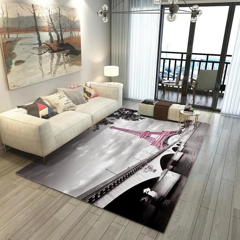 Paris Eiffel Tower & Seine River Themed Pink Area Rug - 63