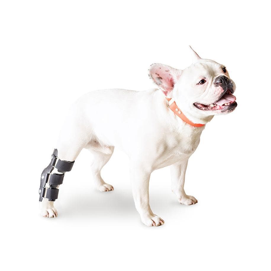 Walkin' Pets Dog Hock Splint - Adjustable Leg Brace for Canine Arthritis & Injury Recovery - Ideal for Walking Support & Post-Surgery Rehabilitation