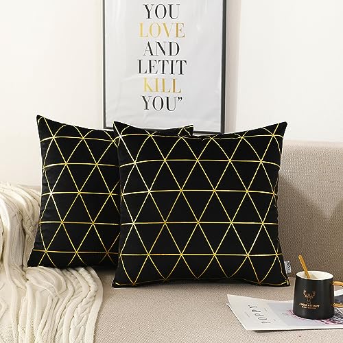 D-black/ Gold