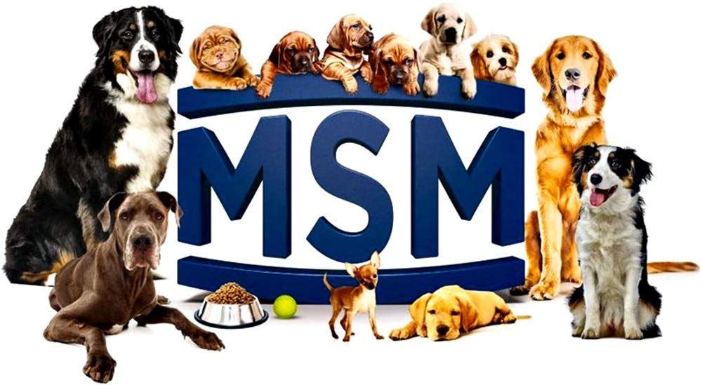 E-Z Mobility Hip and Joint Supplement for Dogs & Cats - MSM Pet Supplements with Glucosamine & Chondroitin for Tendon Support, Flexibility & Muscle Stiffness Relief - 500ml Liquid Formula for Senior Pets & Active Animals - Ideal for Post-Exercise Recovery & Daily Joint Care