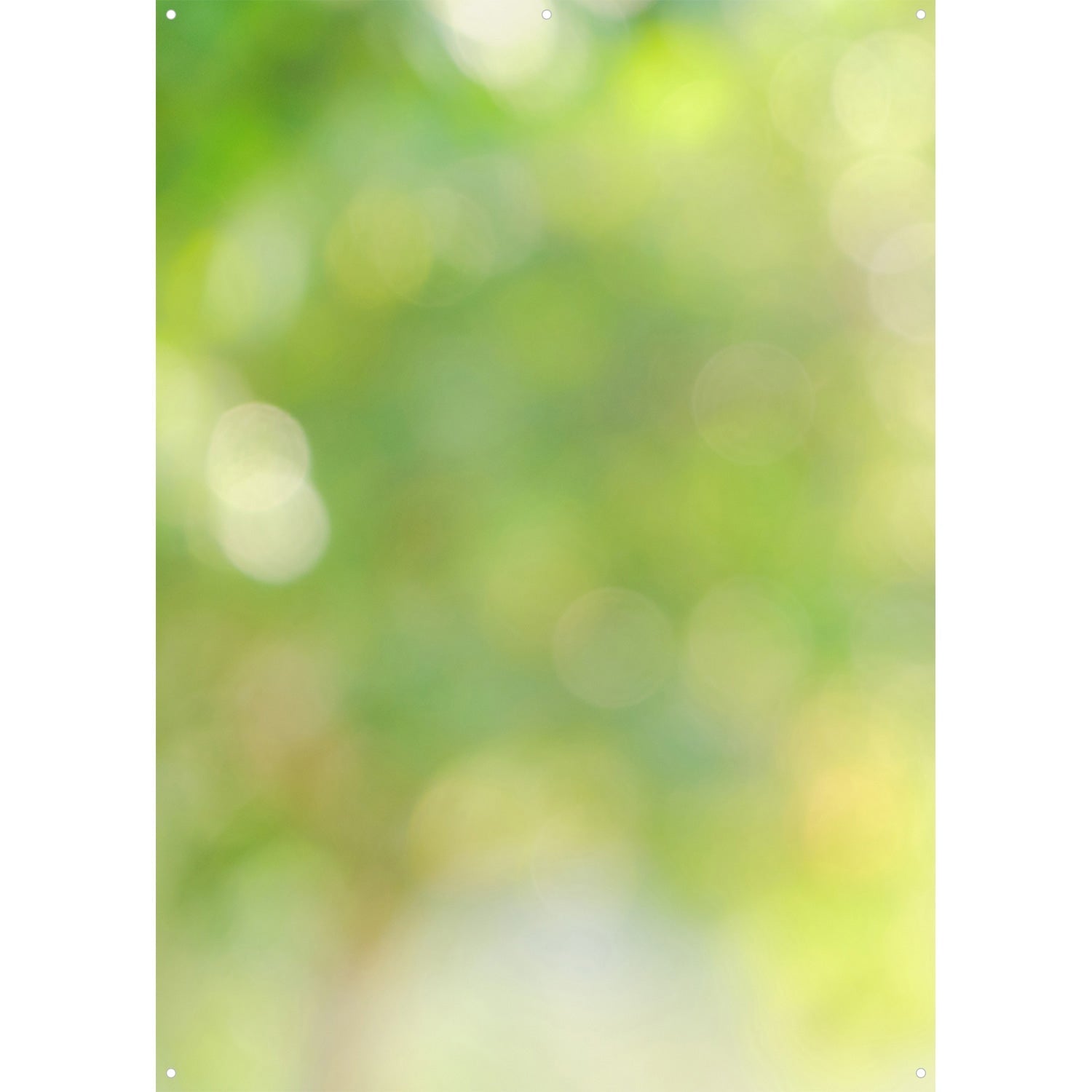 X Drop Canvas Backdrop - Forest Bokeh Photography Background (5' x 7') - Perfect for Portrait, Wedding & Studio Photo Shoots