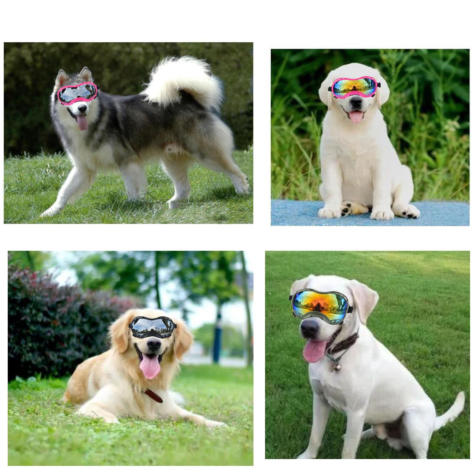 UV Protection Dog Goggles for Large Breeds - Windproof, Dustproof & Snowproof Sunglasses for Medium to Large Dogs - Pink Frame with Silver Lens - Perfect for Hiking, Running & Outdoor Adventures