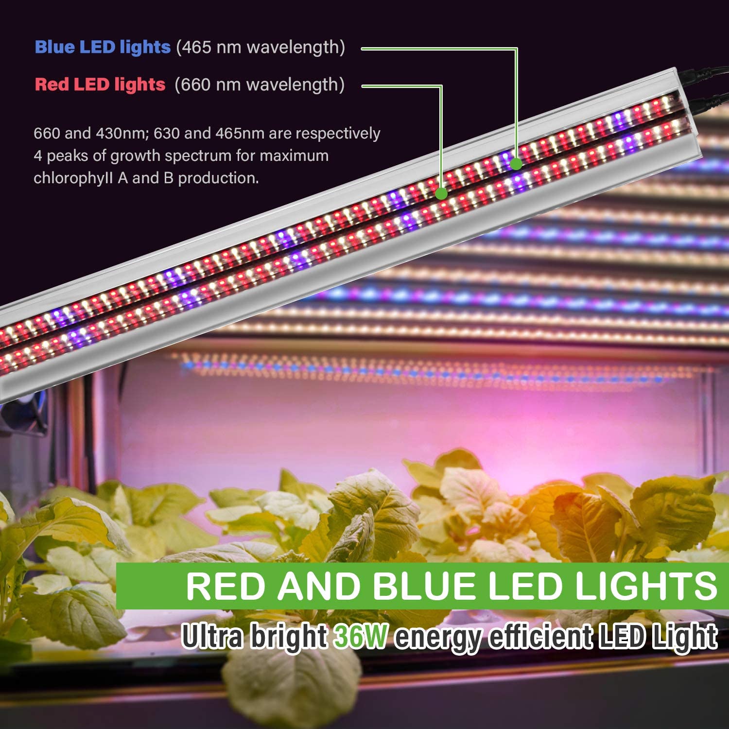 iPower 70W 4ft LED Grow Light Stand with Double Tube & Dual Switch - Foldable Plant Light for Seed Starting, Propagation - Includes 2 Bulbs (Perfect for Indoor Gardening, Hydroponics & Greenhouse Use)