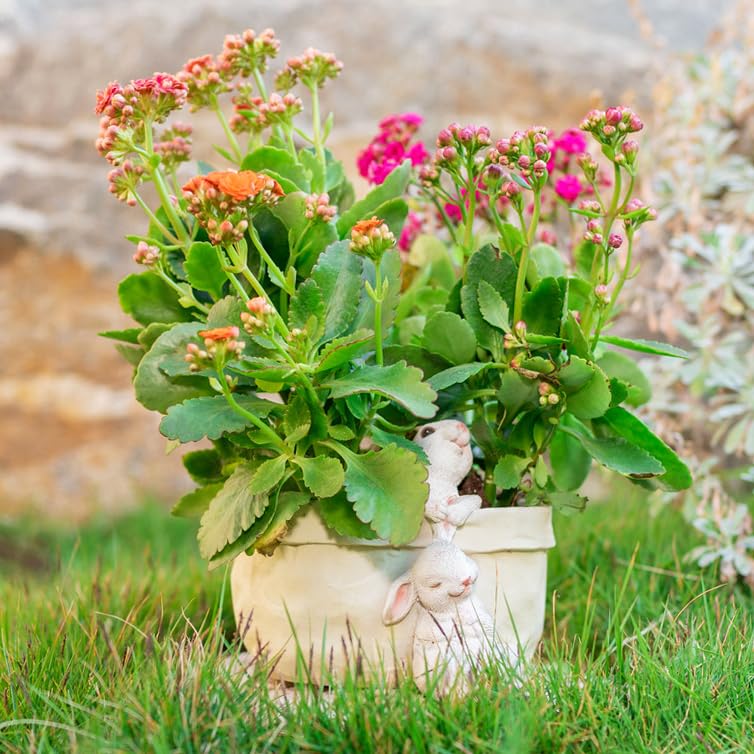 Rabbit Flower Pot Succulent Planter - Bunny Shaped Resin Garden Pots for Cactus & Small Plants, Decorative Animal Planter with Cartoon Design - Perfect for Home Decor, Office Desk & Gift Giving (No Drainage Hole)